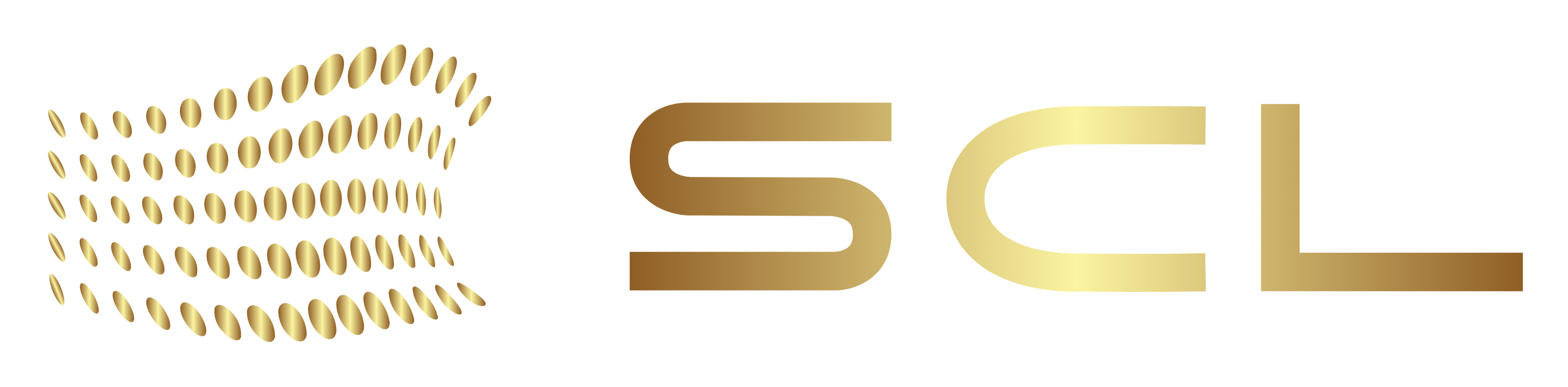 S Chesterton Limited